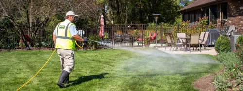backyard spray