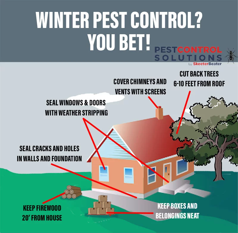 winter pest control 4