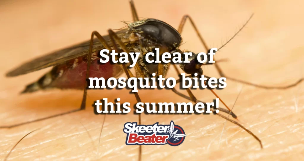 mosquito bites summer
