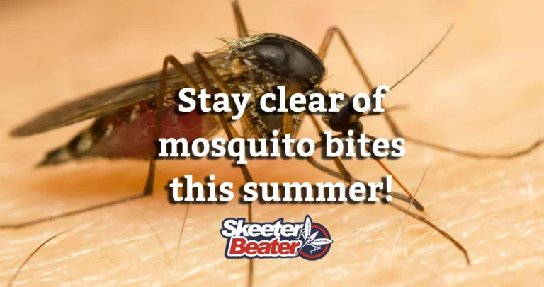 Mosquito Exterminators | Skeeter Beater
